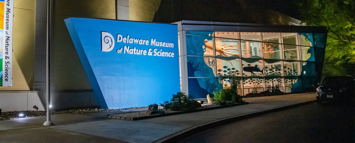 Delaware Museum of Nature and Science